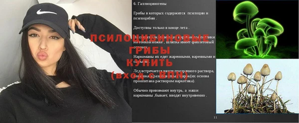 мескалин Абинск