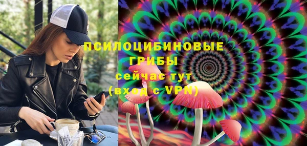 apvp Абаза