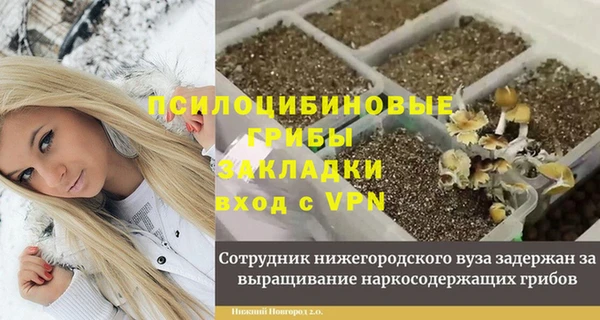 apvp Абаза