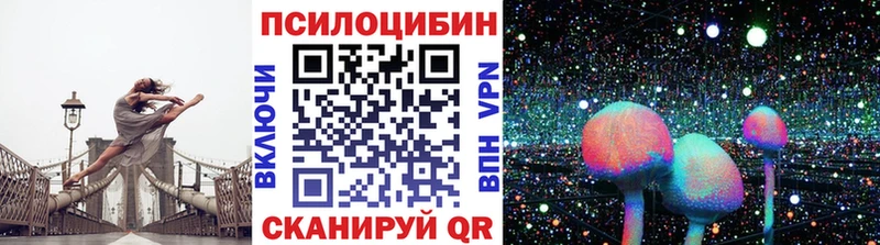 сайты даркнета официальный сайт MEGA ТОР Кадников Псилоцибиновые грибы Psilocybine cubensis